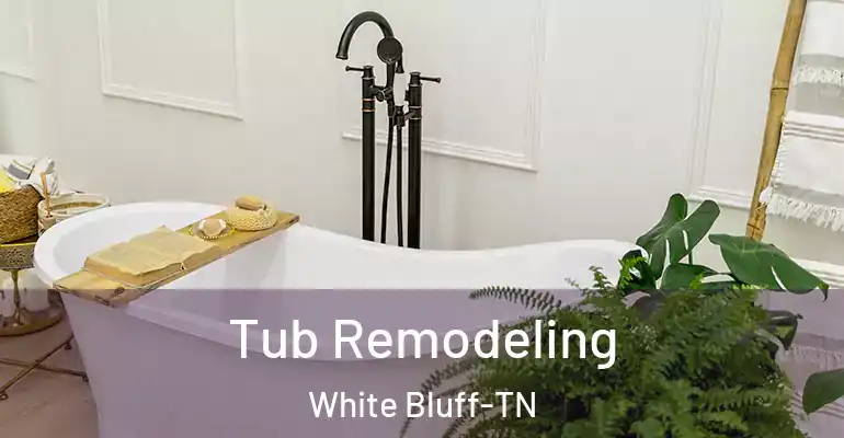 inner Bathroom imggen Tub Remodeling White Bluff-TN