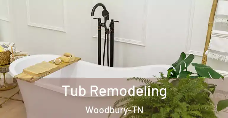 inner Bathroom imggen Tub Remodeling Woodbury-TN