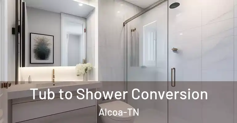 inner Bathroom imggen Tub to Shower Conversion Alcoa-TN