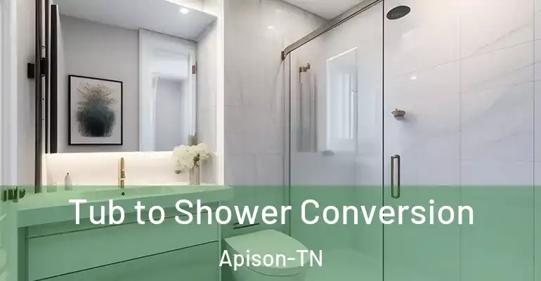 inner Bathroom imggen Tub to Shower Conversion Apison-TN