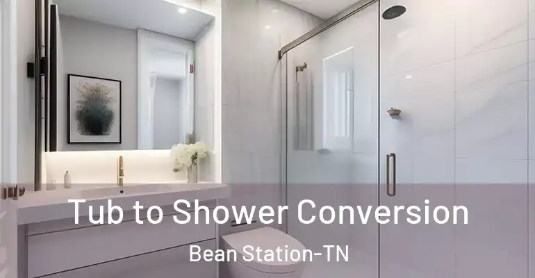 inner Bathroom imggen Tub to Shower Conversion Bean Station-TN