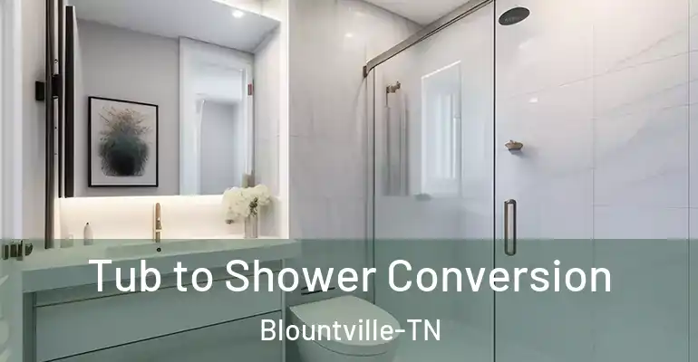 inner Bathroom imggen Tub to Shower Conversion Blountville-TN