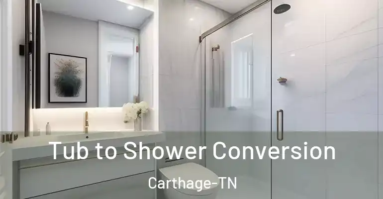 inner Bathroom imggen Tub to Shower Conversion Carthage-TN