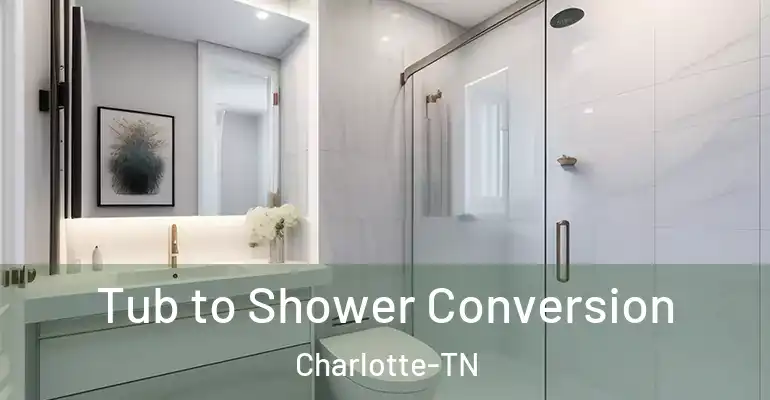 inner Bathroom imggen Tub to Shower Conversion Charlotte-TN
