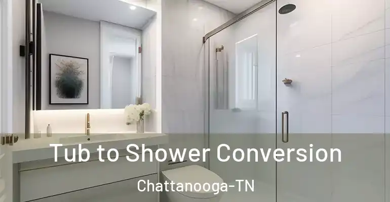 inner Bathroom imggen Tub to Shower Conversion Chattanooga-TN
