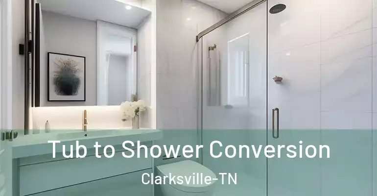 inner Bathroom imggen Tub to Shower Conversion Clarksville-TN