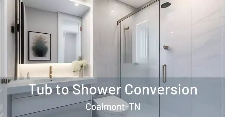 inner Bathroom imggen Tub to Shower Conversion Coalmont-TN