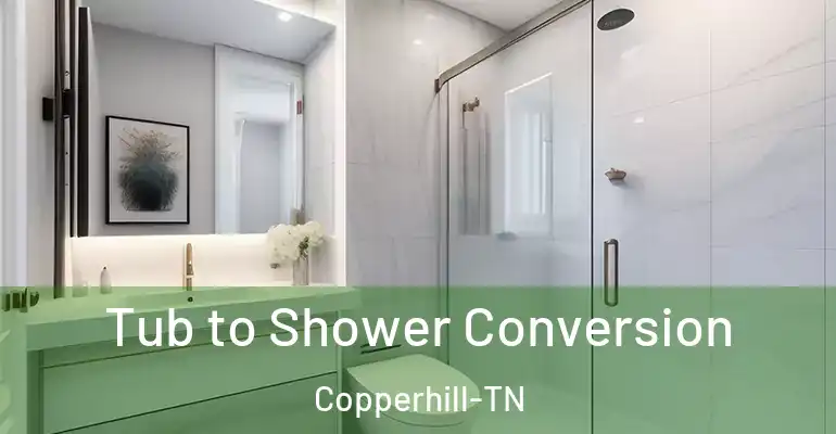 inner Bathroom imggen Tub to Shower Conversion Copperhill-TN