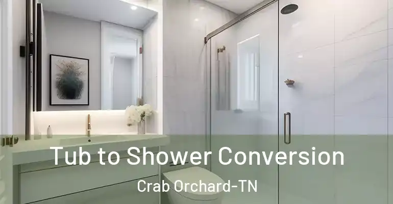 inner Bathroom imggen Tub to Shower Conversion Crab Orchard-TN