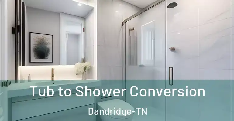 inner Bathroom imggen Tub to Shower Conversion Dandridge-TN