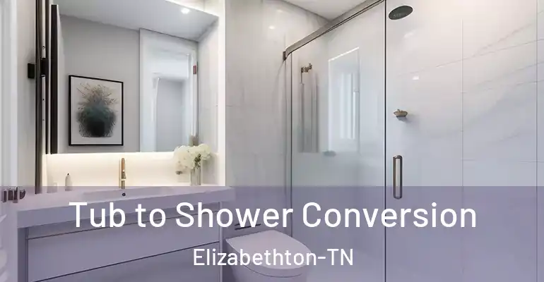inner Bathroom imggen Tub to Shower Conversion Elizabethton-TN