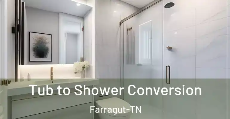 inner Bathroom imggen Tub to Shower Conversion Farragut-TN