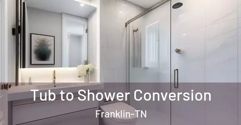 inner Bathroom imggen Tub to Shower Conversion Franklin-TN