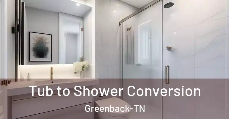 inner Bathroom imggen Tub to Shower Conversion Greenback-TN