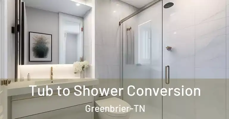 inner Bathroom imggen Tub to Shower Conversion Greenbrier-TN