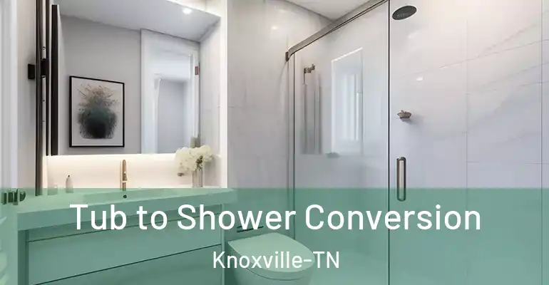 inner Bathroom imggen Tub to Shower Conversion Knoxville-TN