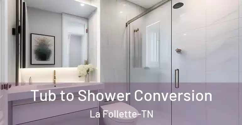 inner Bathroom imggen Tub to Shower Conversion La Follette-TN
