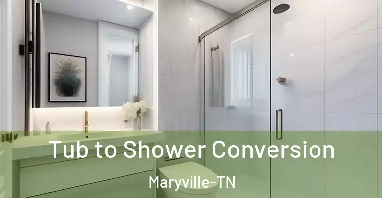 inner Bathroom imggen Tub to Shower Conversion Maryville-TN