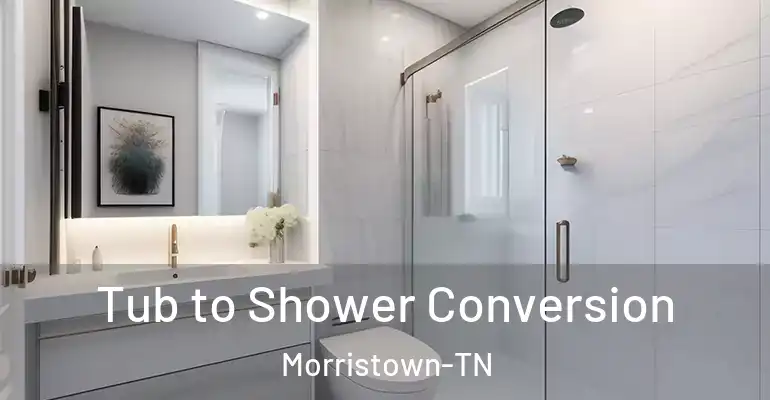 inner Bathroom imggen Tub to Shower Conversion Morristown-TN