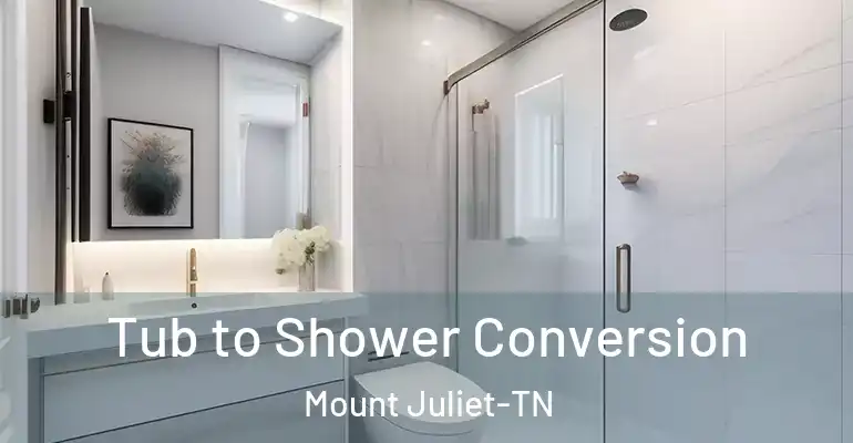 inner Bathroom imggen Tub to Shower Conversion Mount Juliet-TN