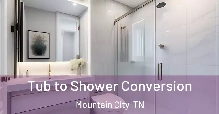 inner Bathroom imggen Tub to Shower Conversion Mountain City-TN