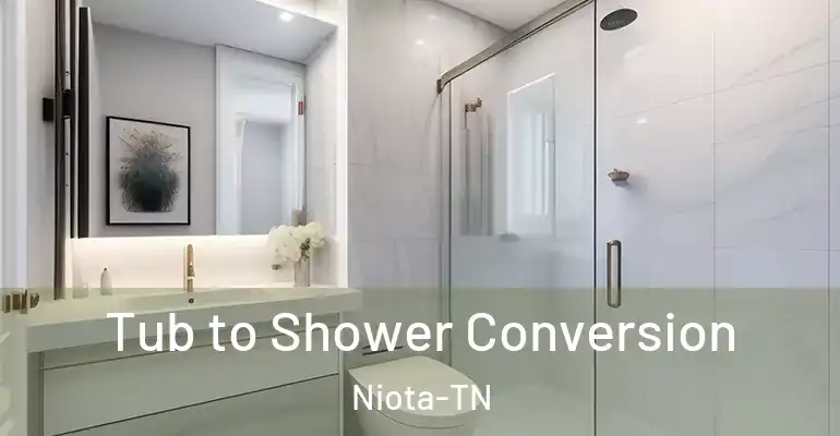 inner Bathroom imggen Tub to Shower Conversion Niota-TN
