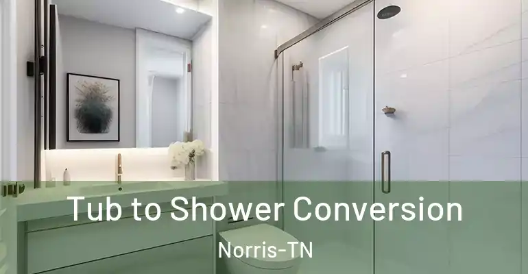 inner Bathroom imggen Tub to Shower Conversion Norris-TN