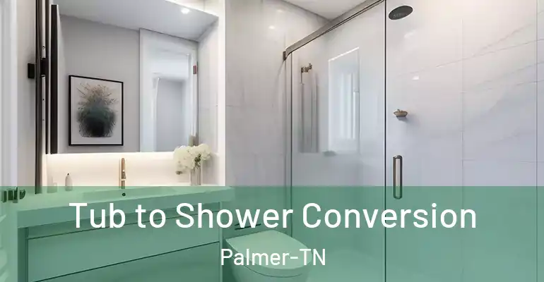 inner Bathroom imggen Tub to Shower Conversion Palmer-TN