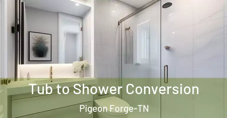 inner Bathroom imggen Tub to Shower Conversion Pigeon Forge-TN
