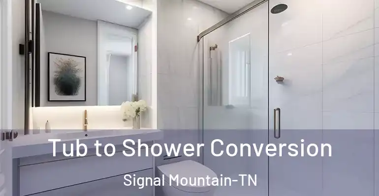 inner Bathroom imggen Tub to Shower Conversion Signal Mountain-TN