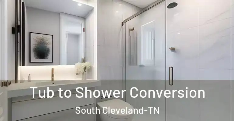 inner Bathroom imggen Tub to Shower Conversion South Cleveland-TN