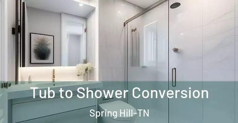 inner Bathroom imggen Tub to Shower Conversion Spring Hill-TN