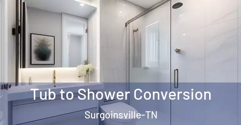 inner Bathroom imggen Tub to Shower Conversion Surgoinsville-TN