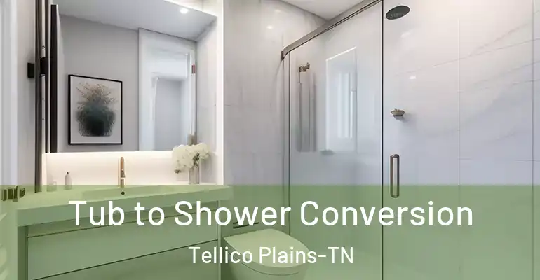 inner Bathroom imggen Tub to Shower Conversion Tellico Plains-TN