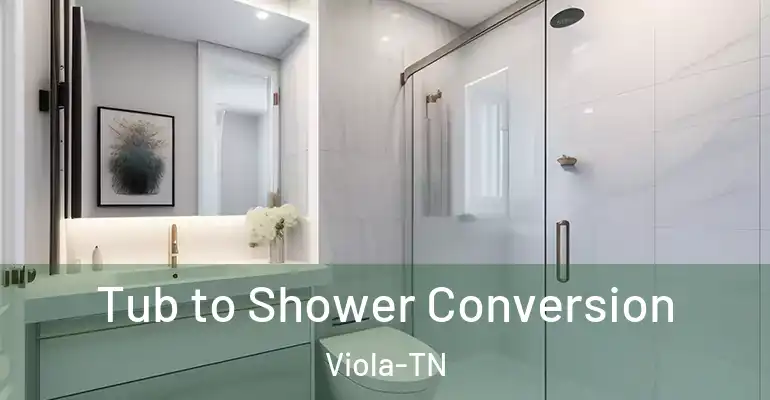inner Bathroom imggen Tub to Shower Conversion Viola-TN