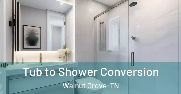 inner Bathroom imggen Tub to Shower Conversion Walnut Grove-TN