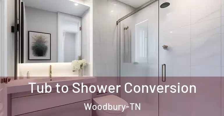 inner Bathroom imggen Tub to Shower Conversion Woodbury-TN