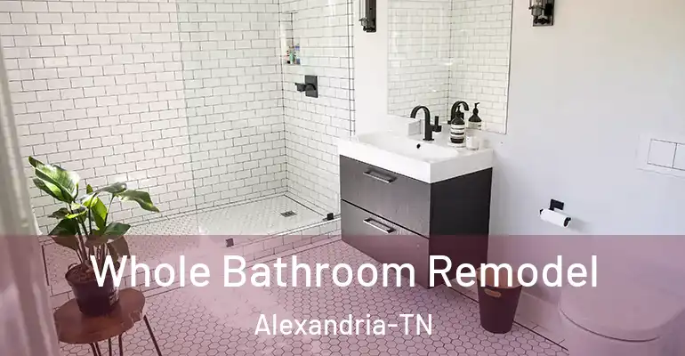 inner Bathroom imggen Whole Bathroom Remodel Alexandria-TN