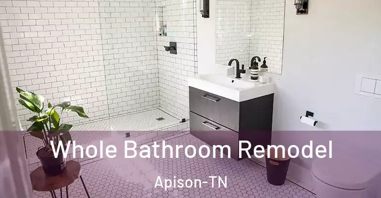 inner Bathroom imggen Whole Bathroom Remodel Apison-TN