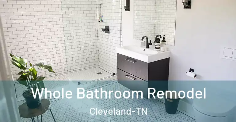 inner Bathroom imggen Whole Bathroom Remodel Cleveland-TN