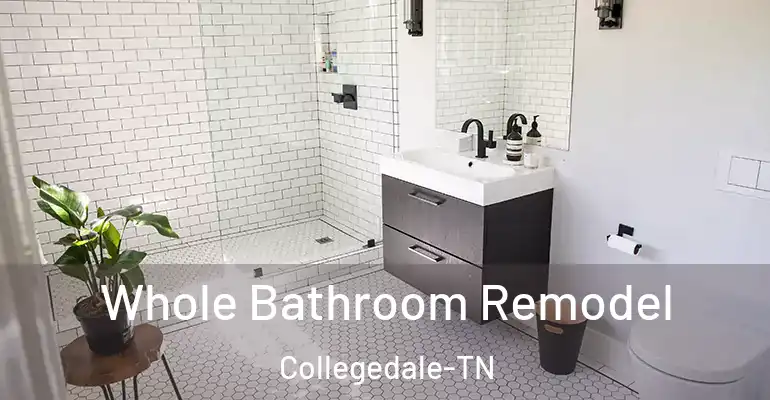 inner Bathroom imggen Whole Bathroom Remodel Collegedale-TN