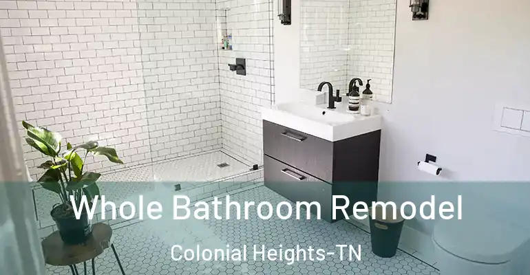 inner Bathroom imggen Whole Bathroom Remodel Colonial Heights-TN