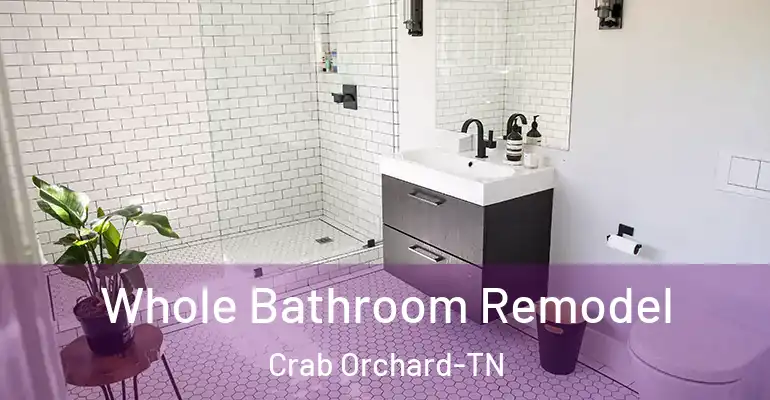 inner Bathroom imggen Whole Bathroom Remodel Crab Orchard-TN