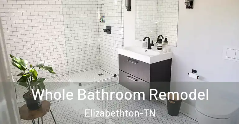 inner Bathroom imggen Whole Bathroom Remodel Elizabethton-TN