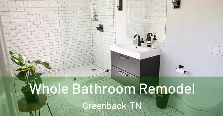 inner Bathroom imggen Whole Bathroom Remodel Greenback-TN