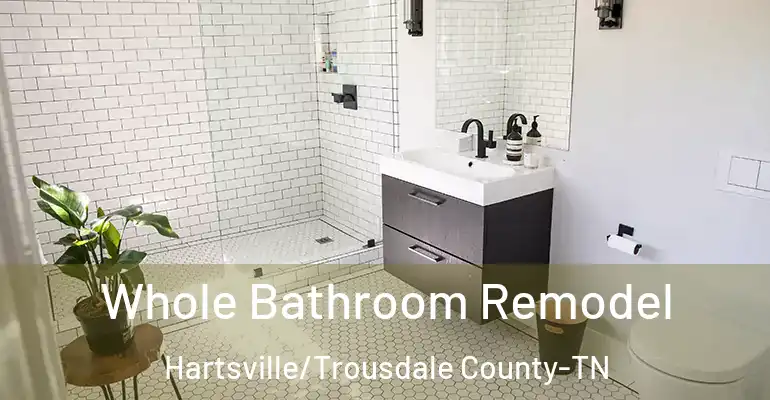 inner Bathroom imggen Whole Bathroom Remodel Hartsville/Trousdale County-TN