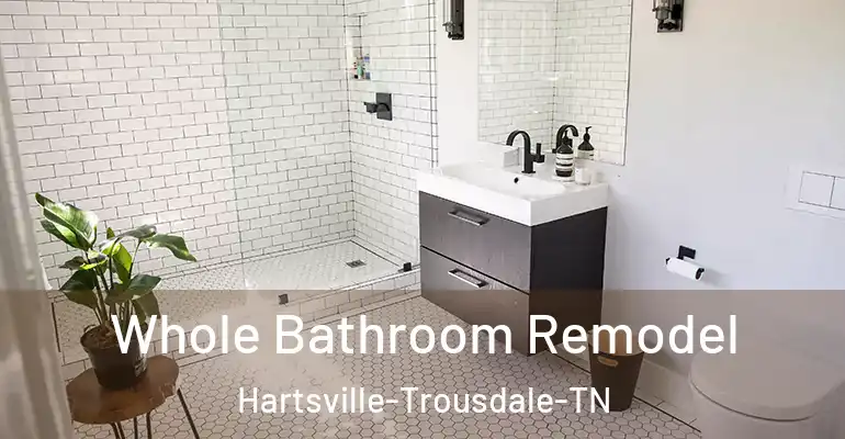 inner Bathroom imggen Whole Bathroom Remodel Hartsville-Trousdale-TN