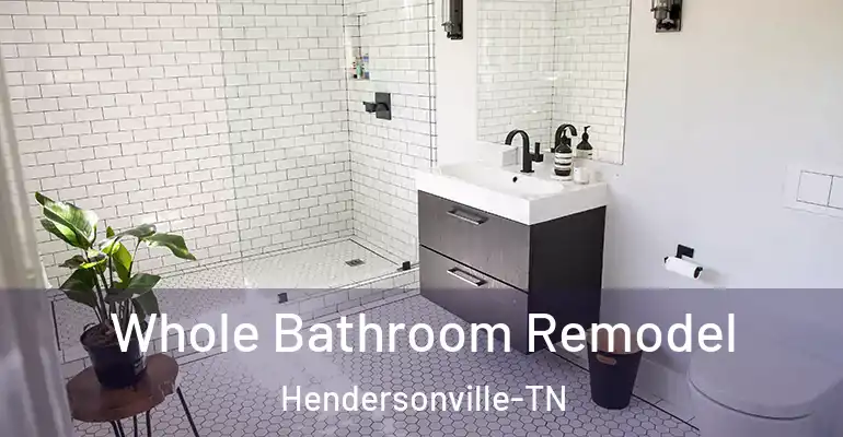 inner Bathroom imggen Whole Bathroom Remodel Hendersonville-TN