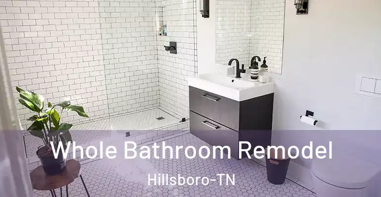 inner Bathroom imggen Whole Bathroom Remodel Hillsboro-TN