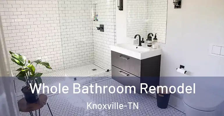 inner Bathroom imggen Whole Bathroom Remodel Knoxville-TN